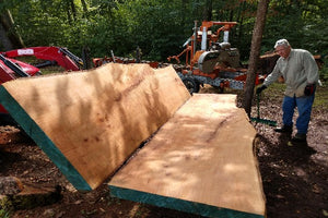 One Dynamic Couple’s Sawmilling Journey That’s Good For the Environment and Profitable … Meet Rose Forestry