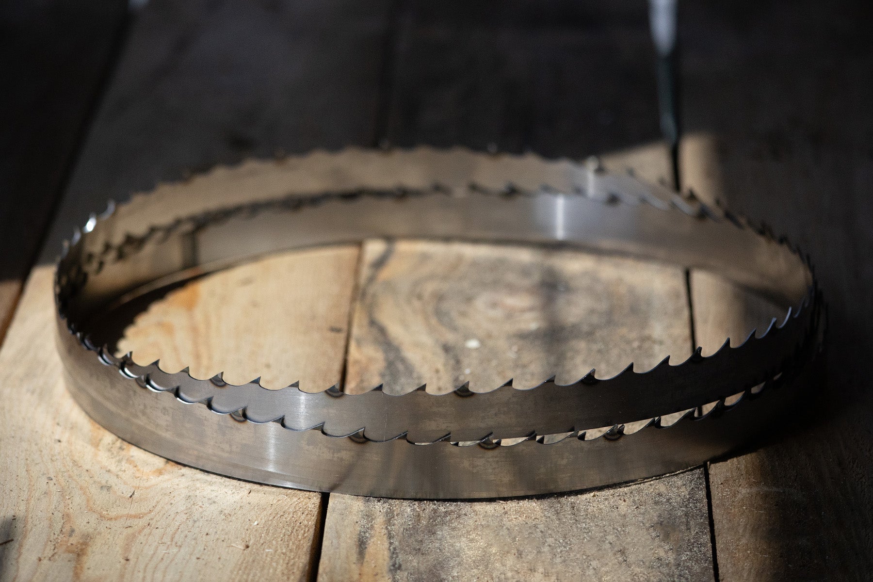 A coiled SabreTooth portable sawmill band blade sitting on a stack of milled boards. 