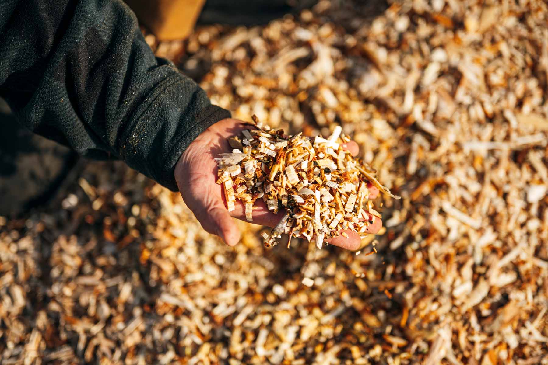 ForestLine DH8 8" PTO Wood Chipper with Dual Hydraulic In-feed