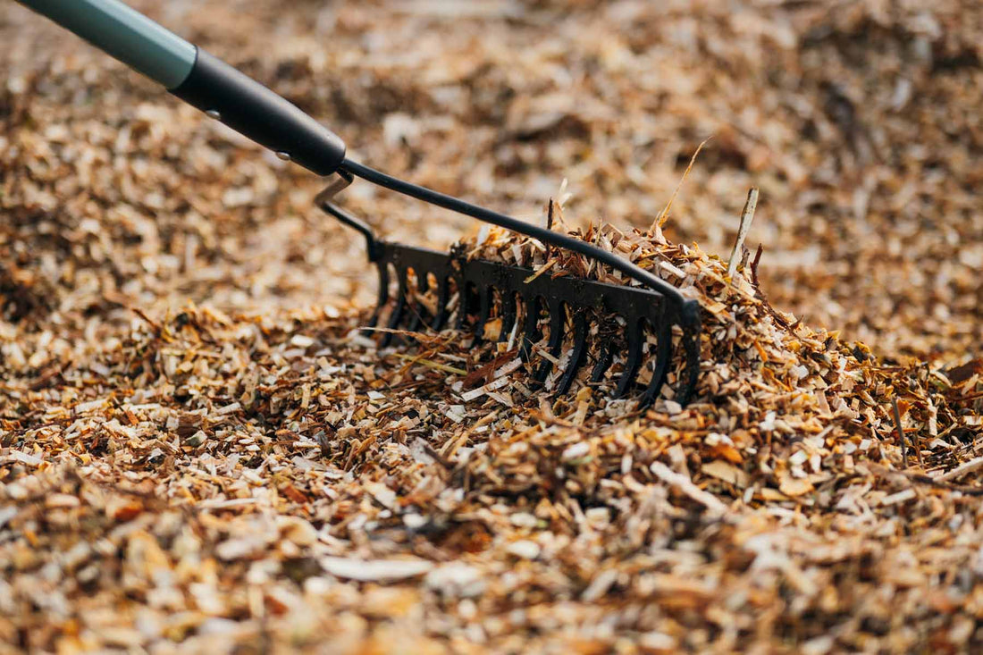 Eco-friendly wood chips