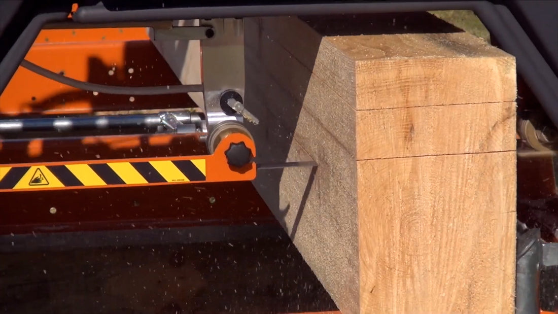 Adjustable blade guide