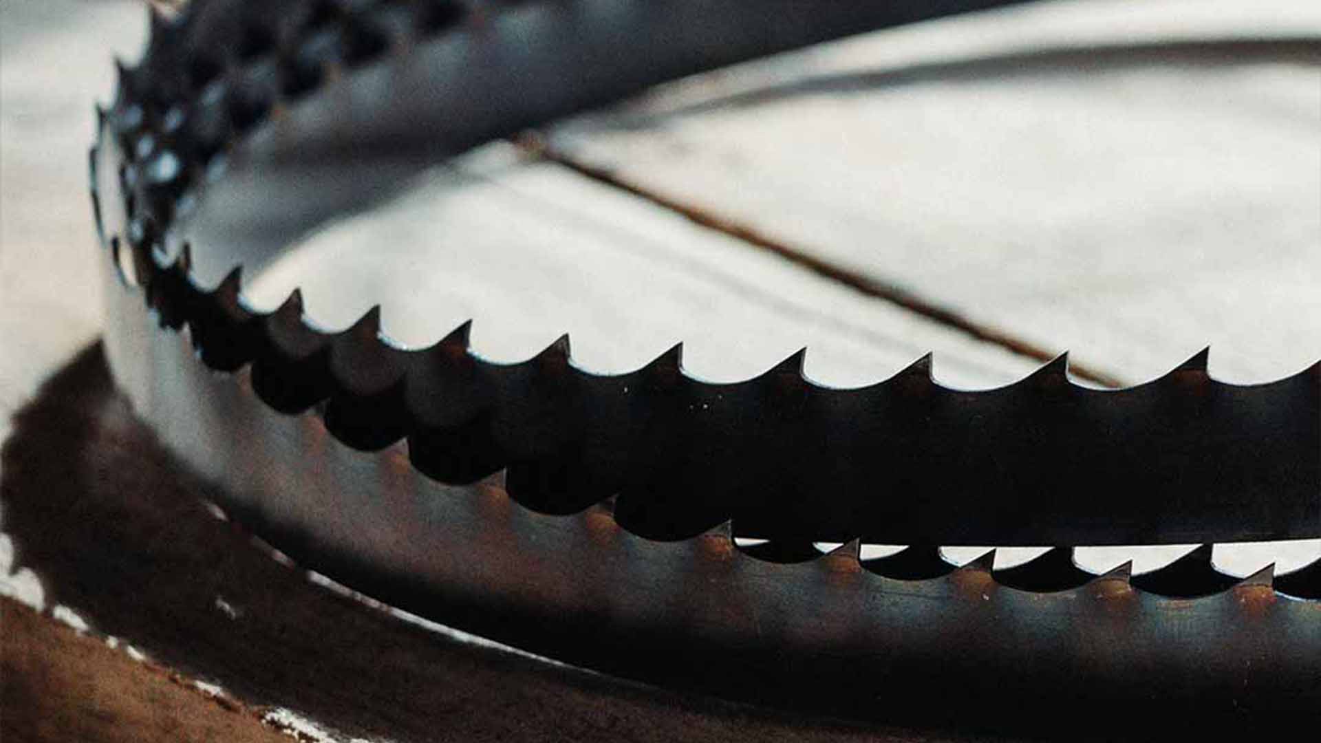 Blue Flex High Performance Bandsaw Sawmill Blades