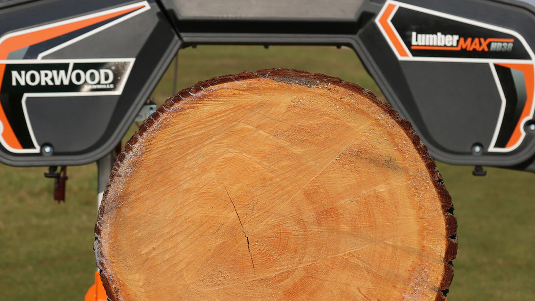 Omega® deep-throat sawhead