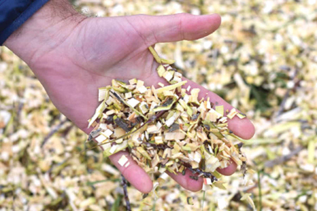 Copeaux de bois écologiques