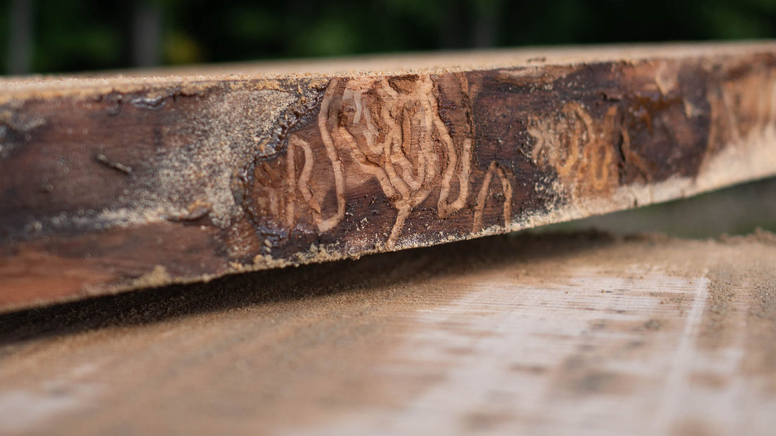 Heat treat your wood