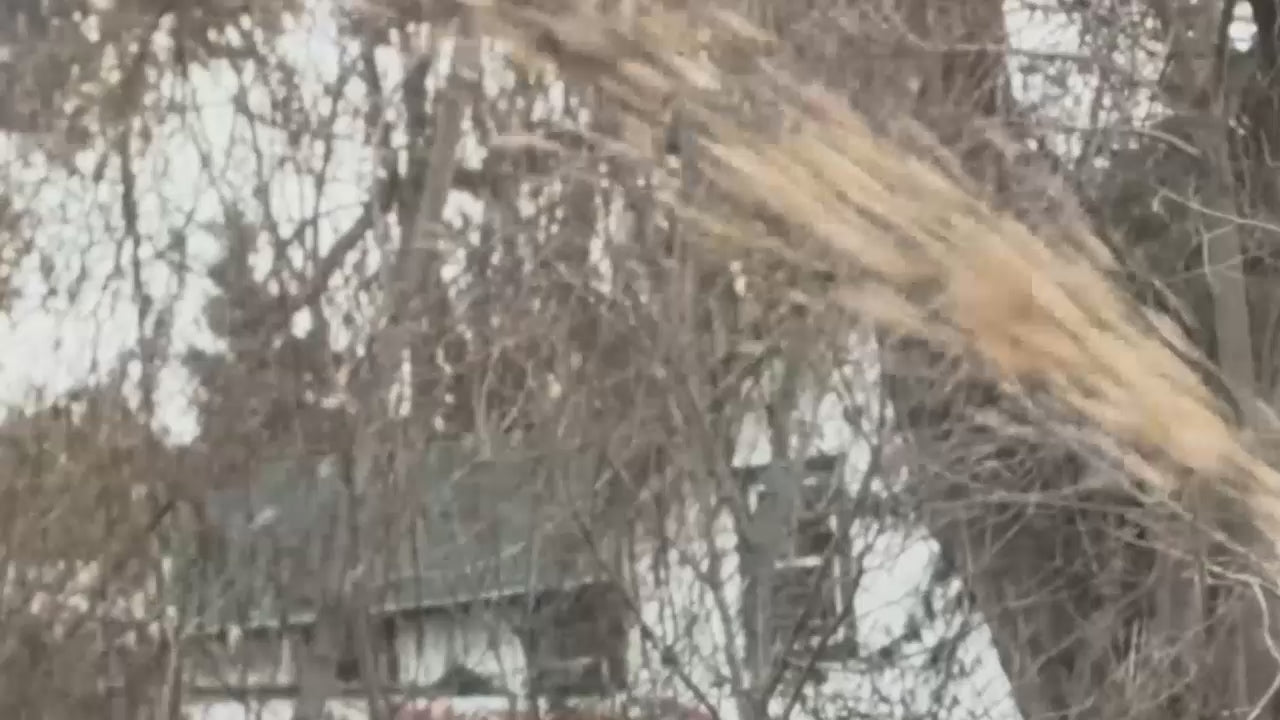 Chargez la vidéo : Des dangers de trébuchement aux matériaux d’aménagement paysager | Caractéristiques