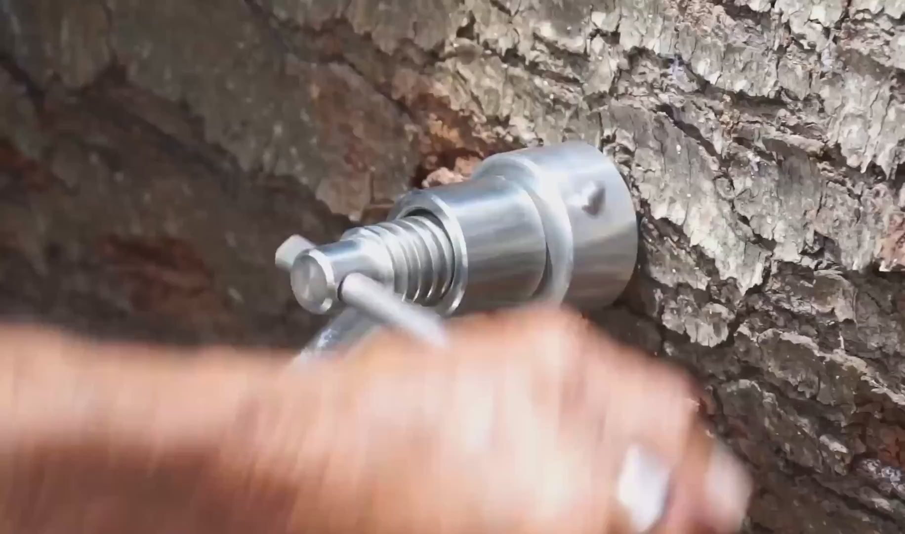 Load video: All the small details that enable an amazing sawmilling experience | Feature